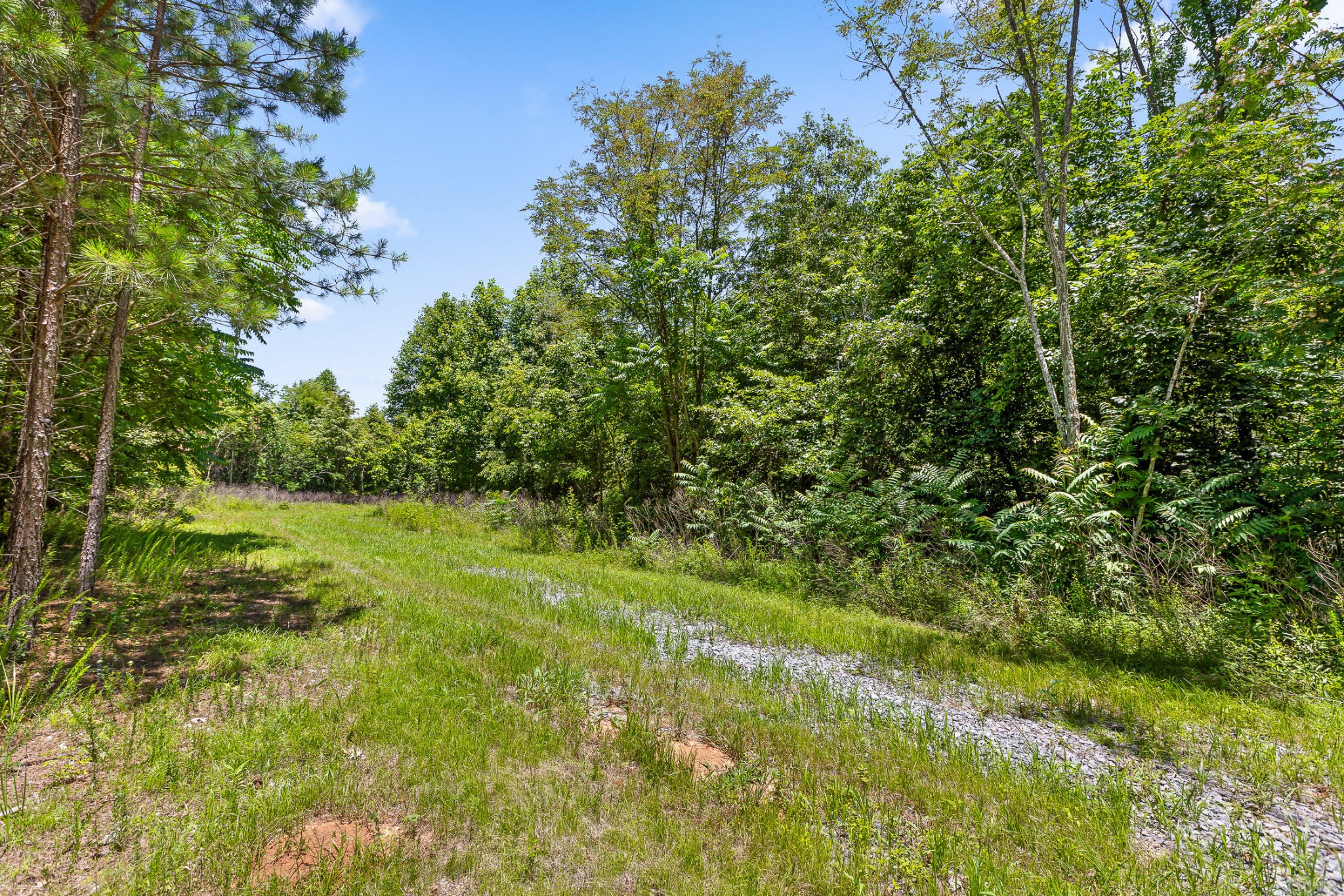 550 Northwest Hooper Gap Road Cleveland, TN 37312 - Photo 23 of 38