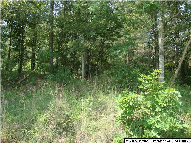 26 Rowell Road Coldwater, MS 38618 - Photo 1 of 2 Primary Photo