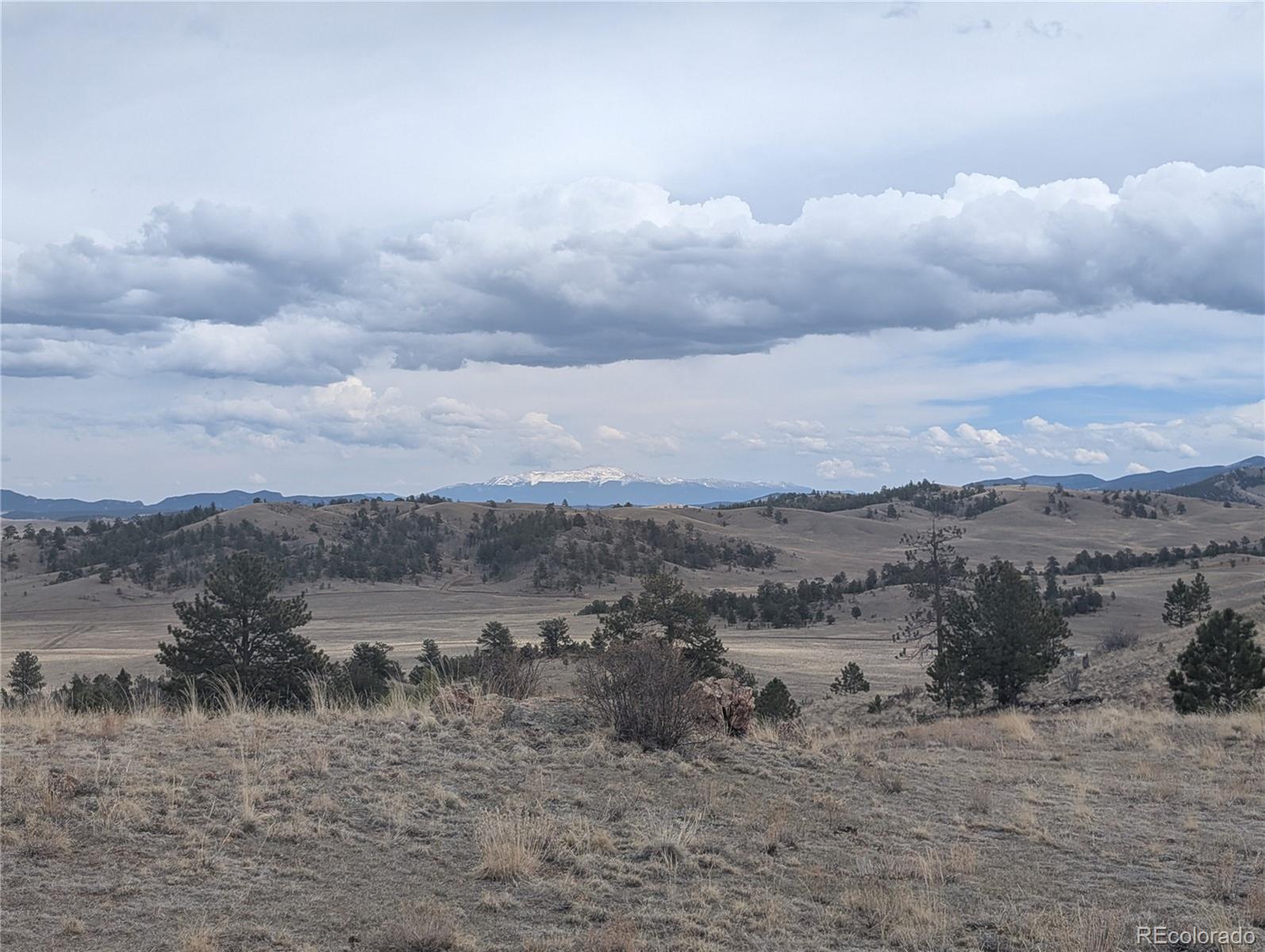 374 Chotaw Road Hartsel, CO 80449 - Photo 11 of 35 Gallery Image 11