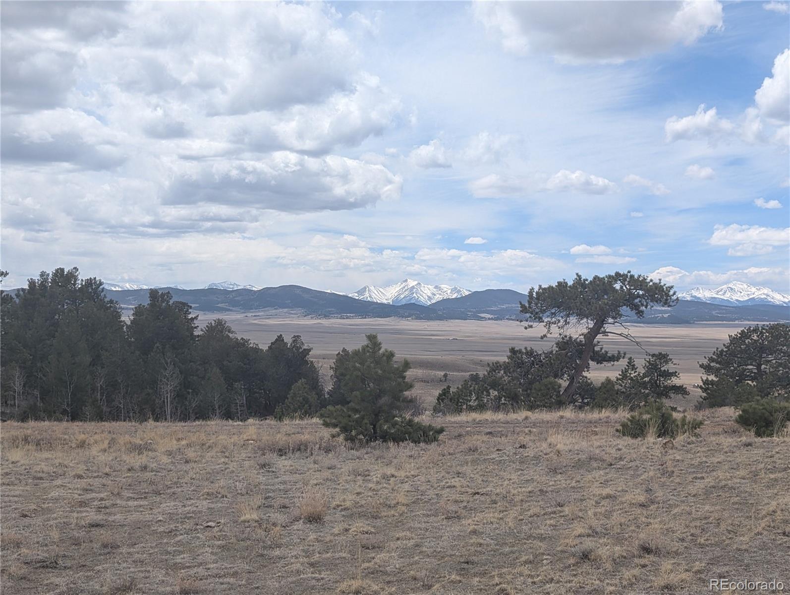 374 Chotaw Road Hartsel, CO 80449 - Photo 12 of 35 Gallery Image 12