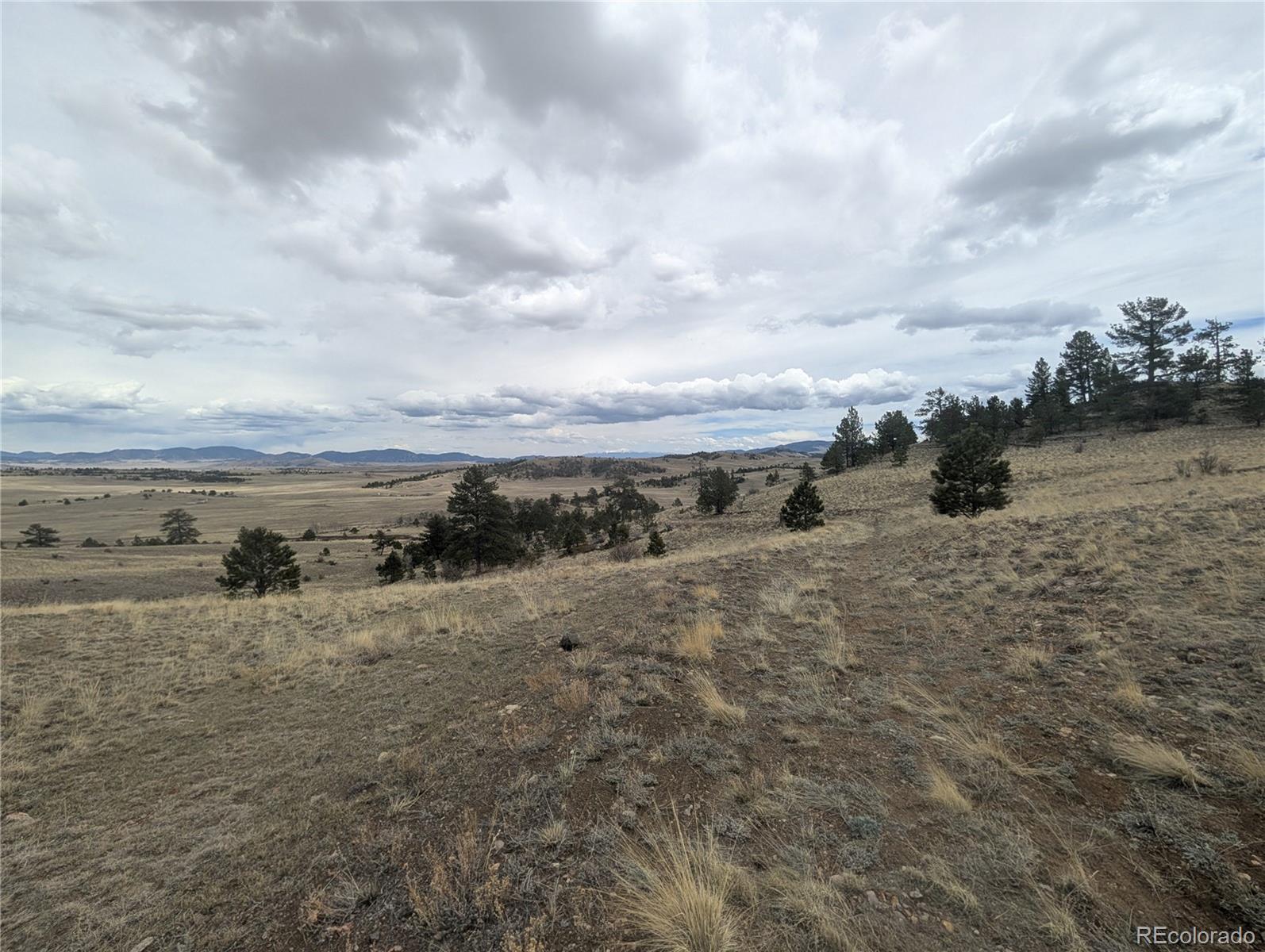 374 Chotaw Road Hartsel, CO 80449 - Photo 13 of 35 Gallery Image 13