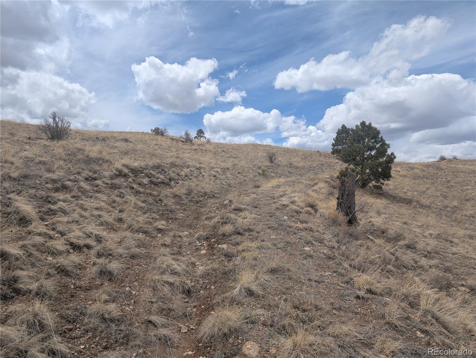 374 Chotaw Road Hartsel, CO 80449 - Photo 14 of 35 Gallery Image 14