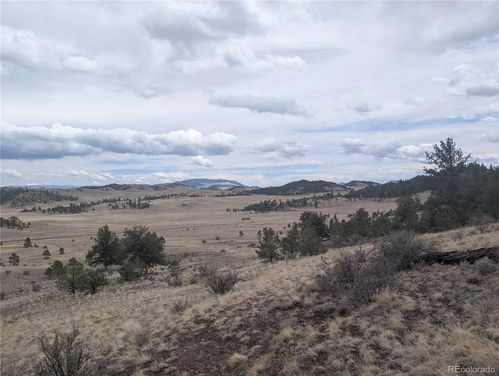 374 Chotaw Road Hartsel, CO 80449 - Photo 20 of 35 Gallery Image 20
