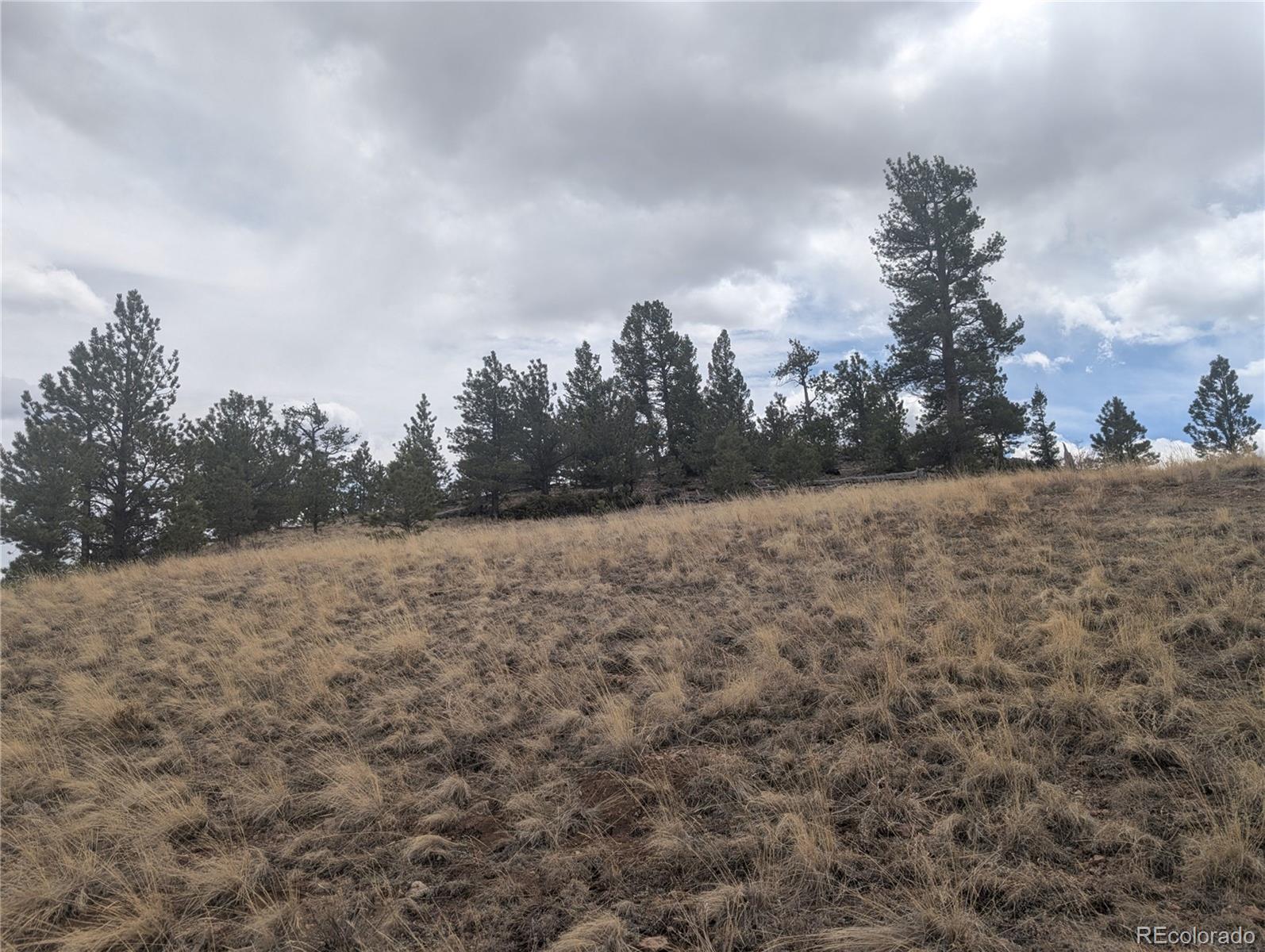374 Chotaw Road Hartsel, CO 80449 - Photo 24 of 35 Gallery Image 24