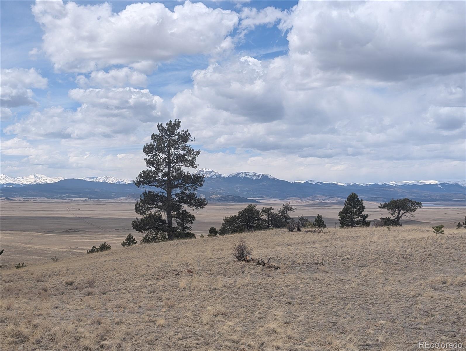 374 Chotaw Road Hartsel, CO 80449 - Photo 28 of 35 Gallery Image 28