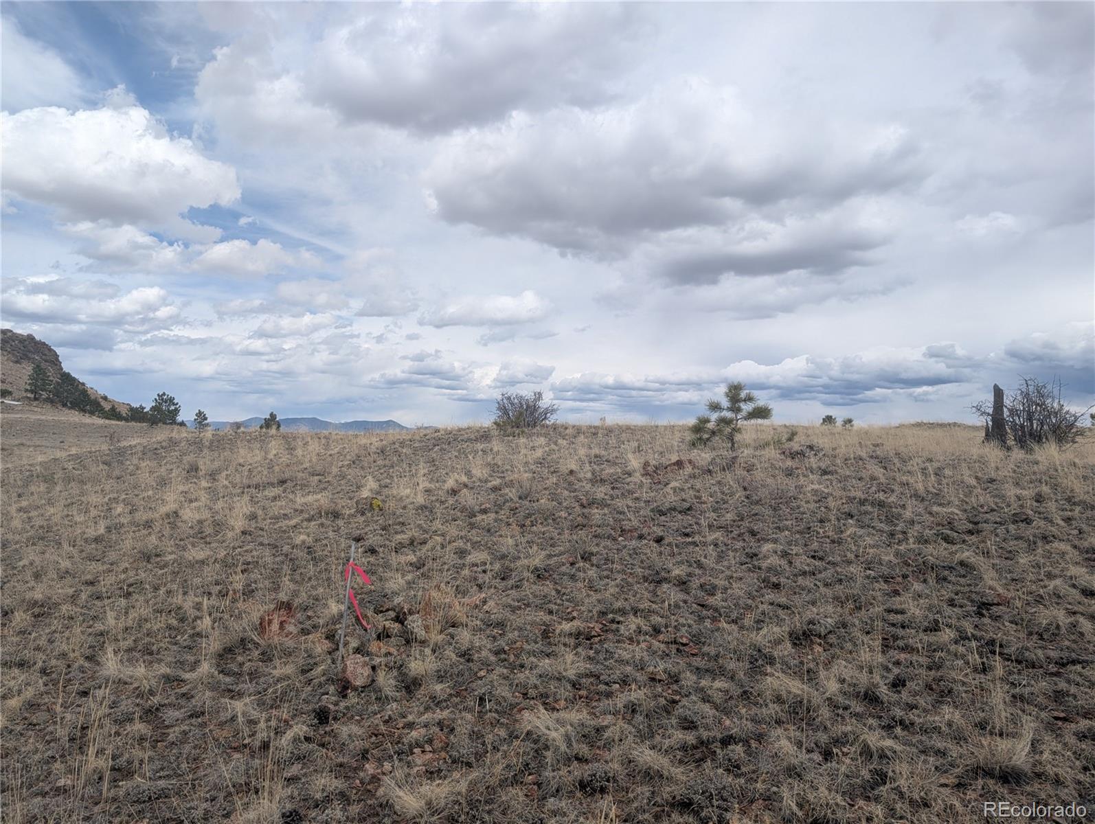 374 Chotaw Road Hartsel, CO 80449 - Photo 30 of 35 Gallery Image 30