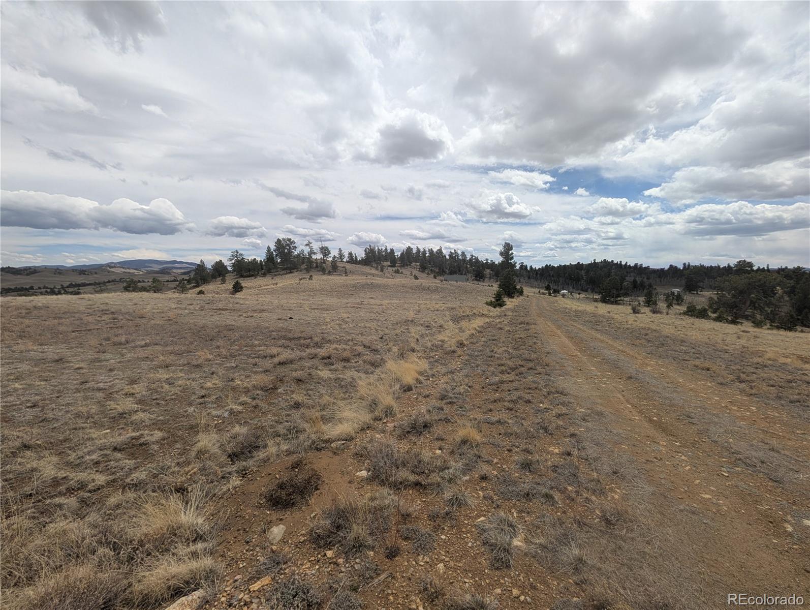 374 Chotaw Road Hartsel, CO 80449 - Photo 4 of 35 Gallery Image 4