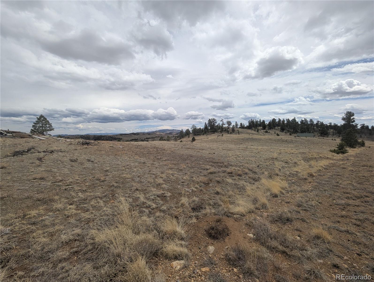 374 Chotaw Road Hartsel, CO 80449 - Photo 5 of 35 Gallery Image 5