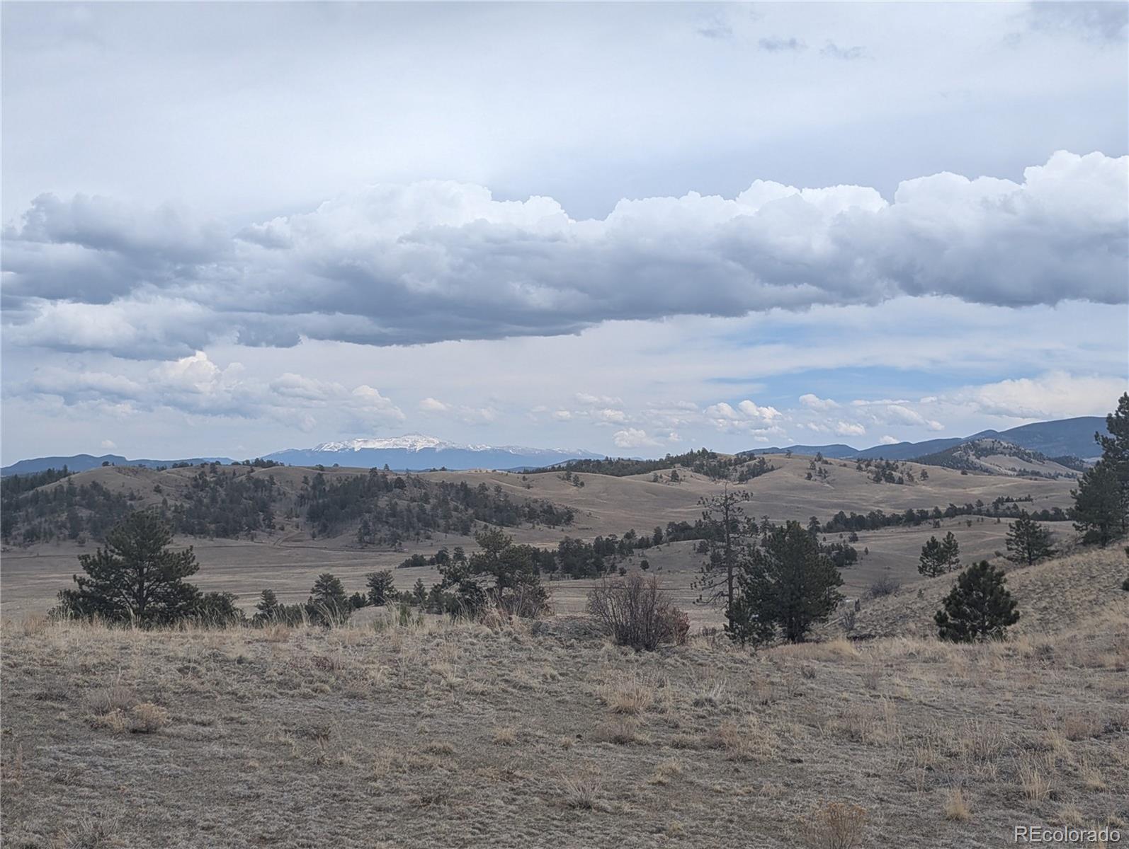 374 Chotaw Road Hartsel, CO 80449 - Photo 7 of 35 Gallery Image 7