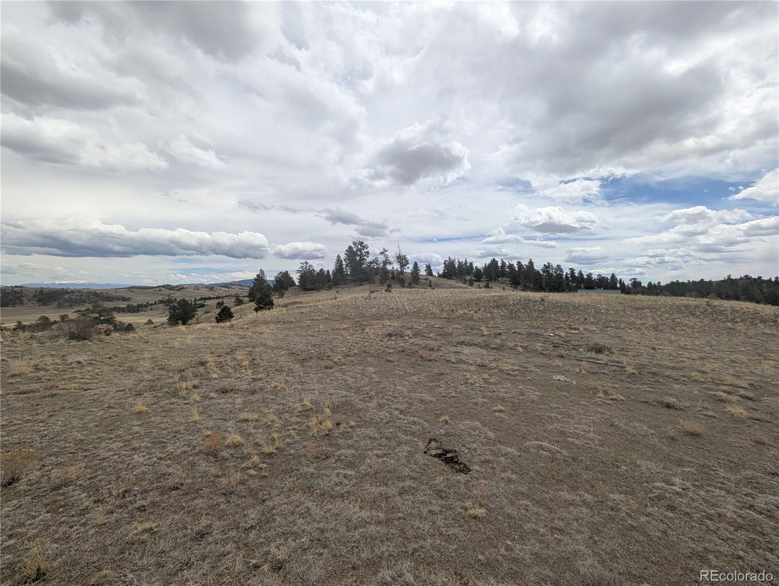 374 Chotaw Road Hartsel, CO 80449 - Photo 8 of 35 Gallery Image 8