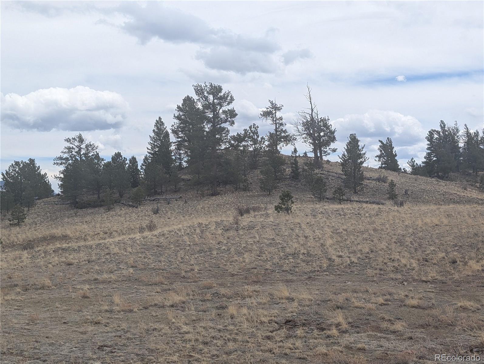374 Chotaw Road Hartsel, CO 80449 - Photo 9 of 35 Gallery Image 9