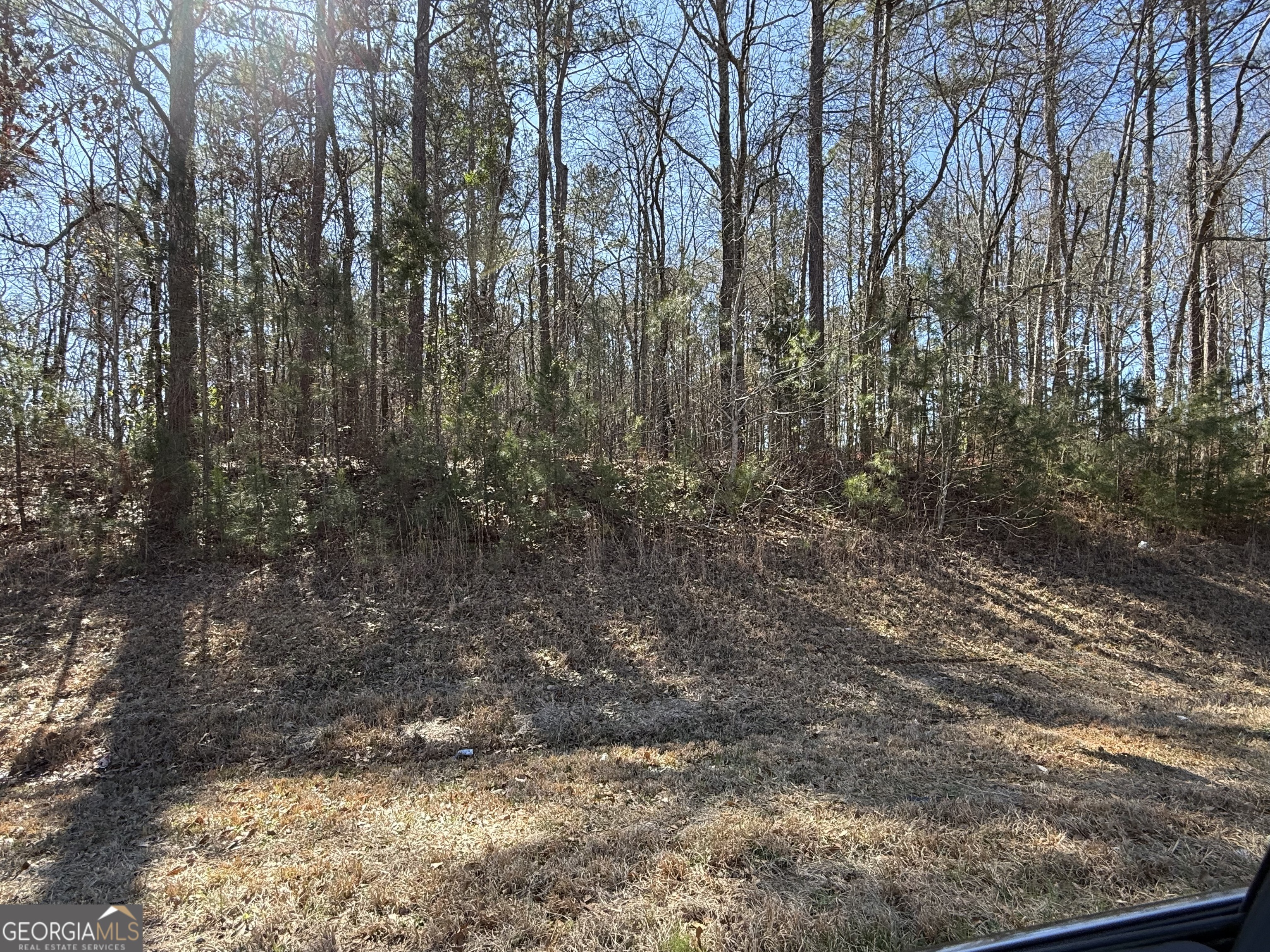 0 New Hutchinson Mill Road LaGrange, GA 30240 - Photo 1 of 1 a view of a yard with trees