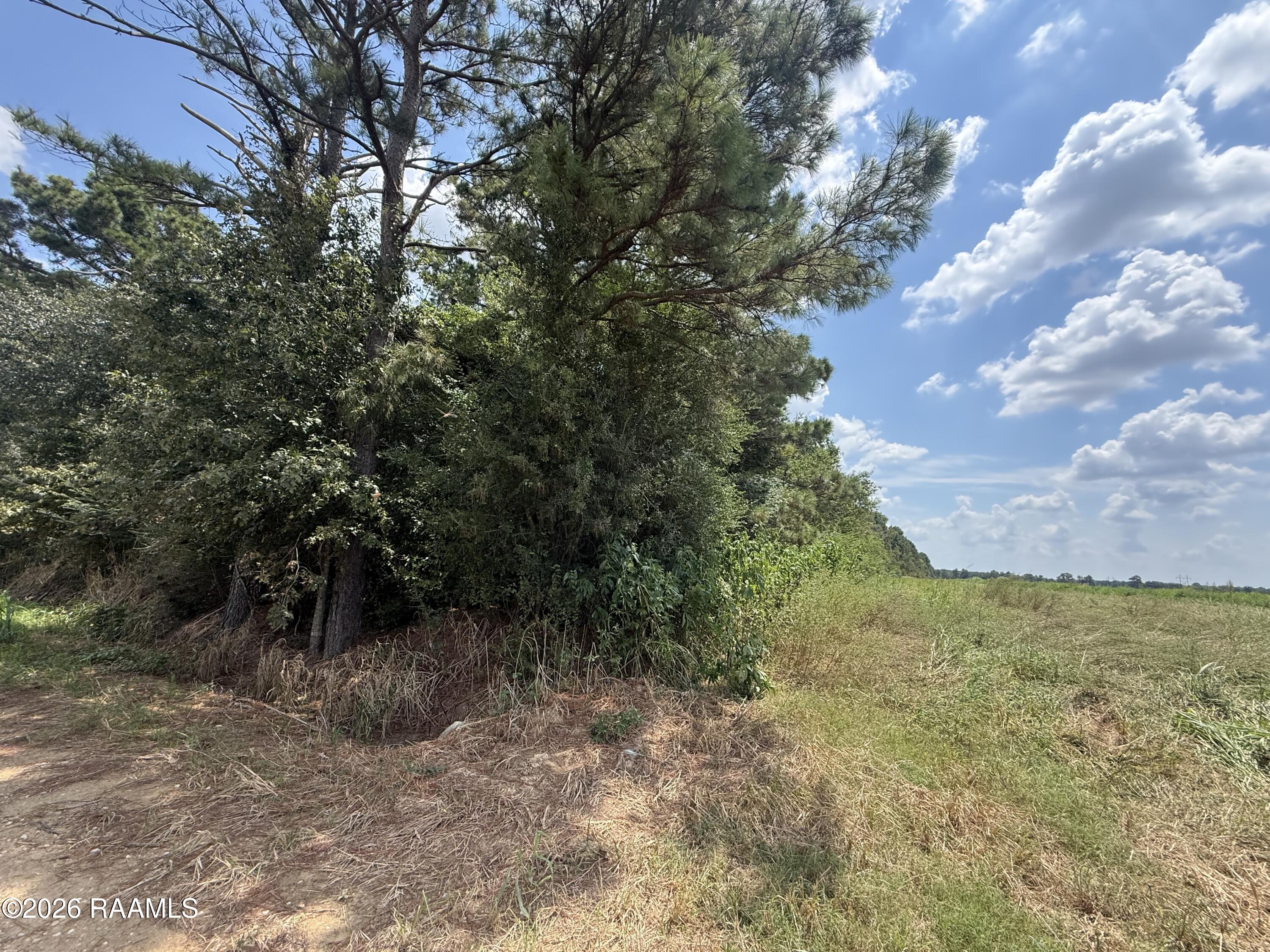 Galou Lake Road Mamou, LA 70554 - Photo 4 of 4 IMG_1605