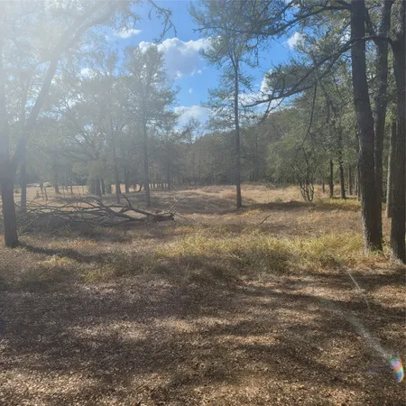 a backyard of a house