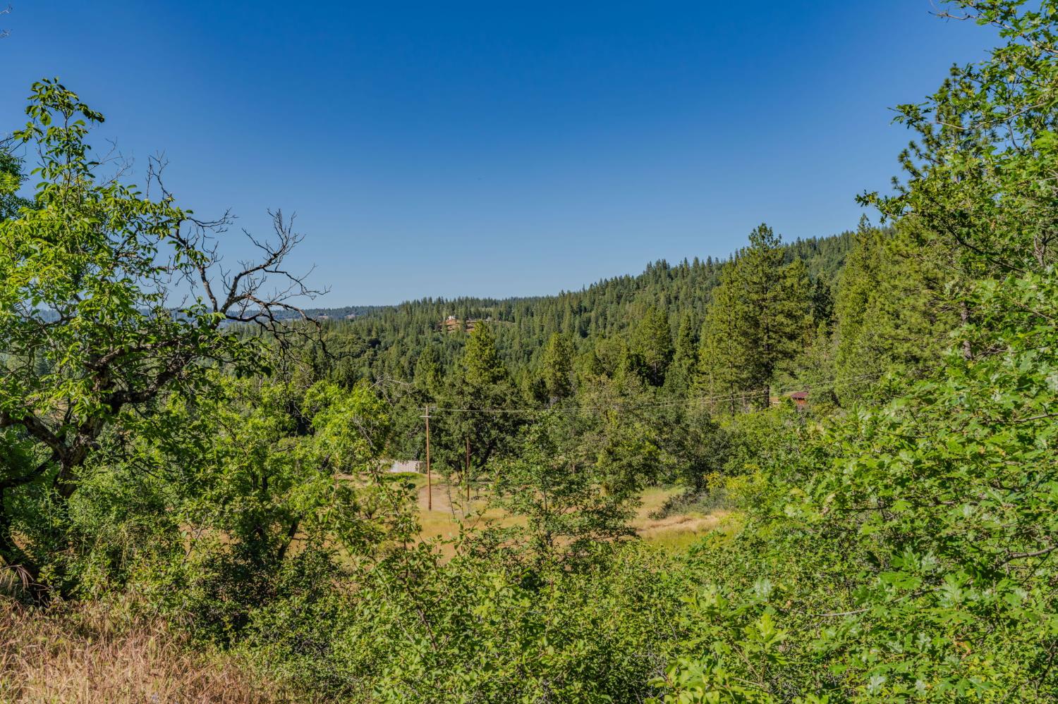 0 Schaefer Ranch Road Pioneer, CA 95666 - Photo 44 of 72