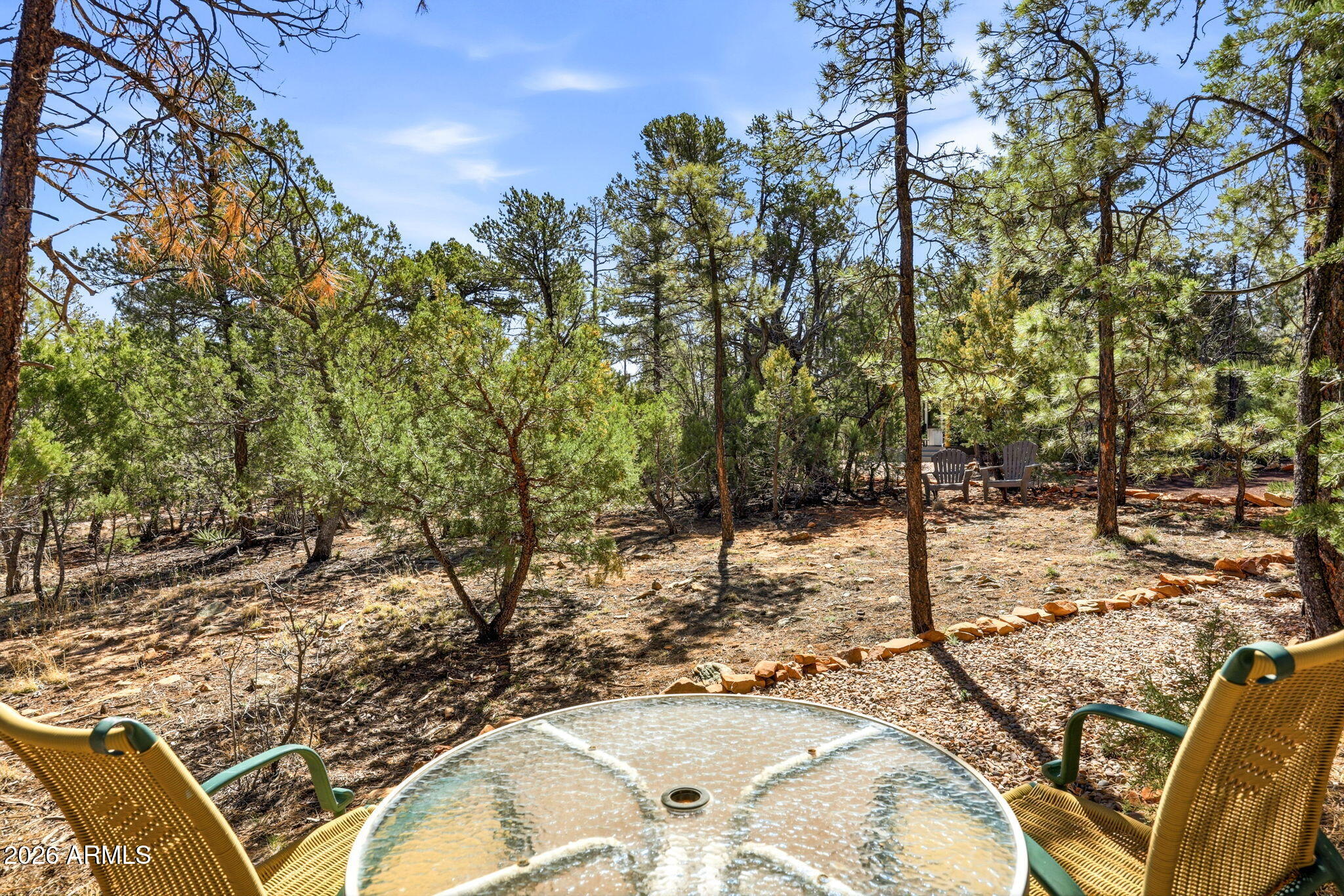 2787 Deer Hill Overgaard, AZ 85933 - Photo 28 of 44 a view of a backyard of the house