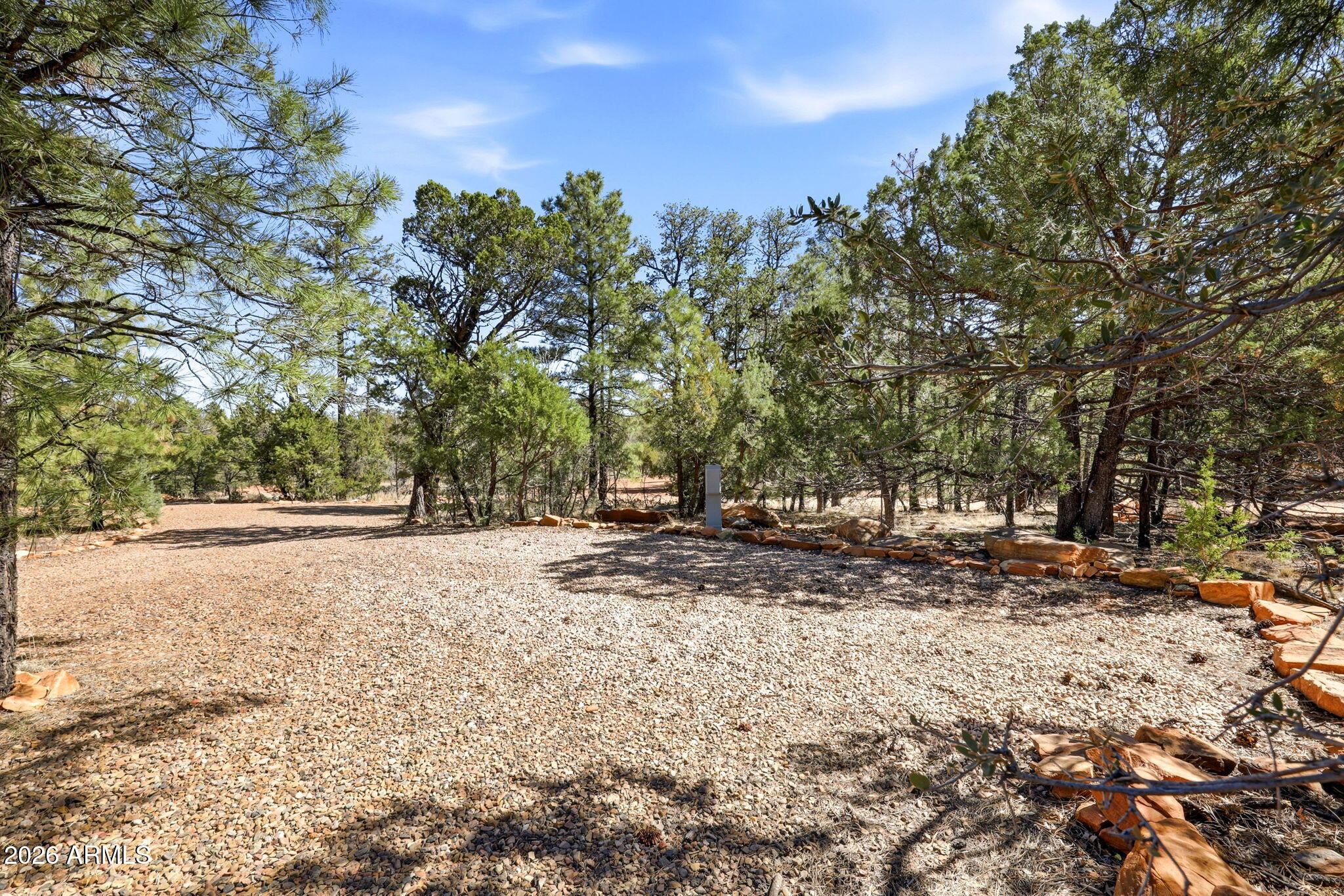 2787 Deer Hill Overgaard, AZ 85933 - Photo 30 of 44 a view of a yard with trees