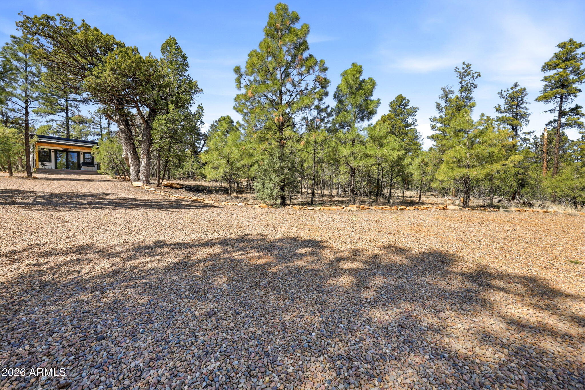 2787 Deer Hill Overgaard, AZ 85933 - Photo 31 of 44 a view of outdoor space with trees all around