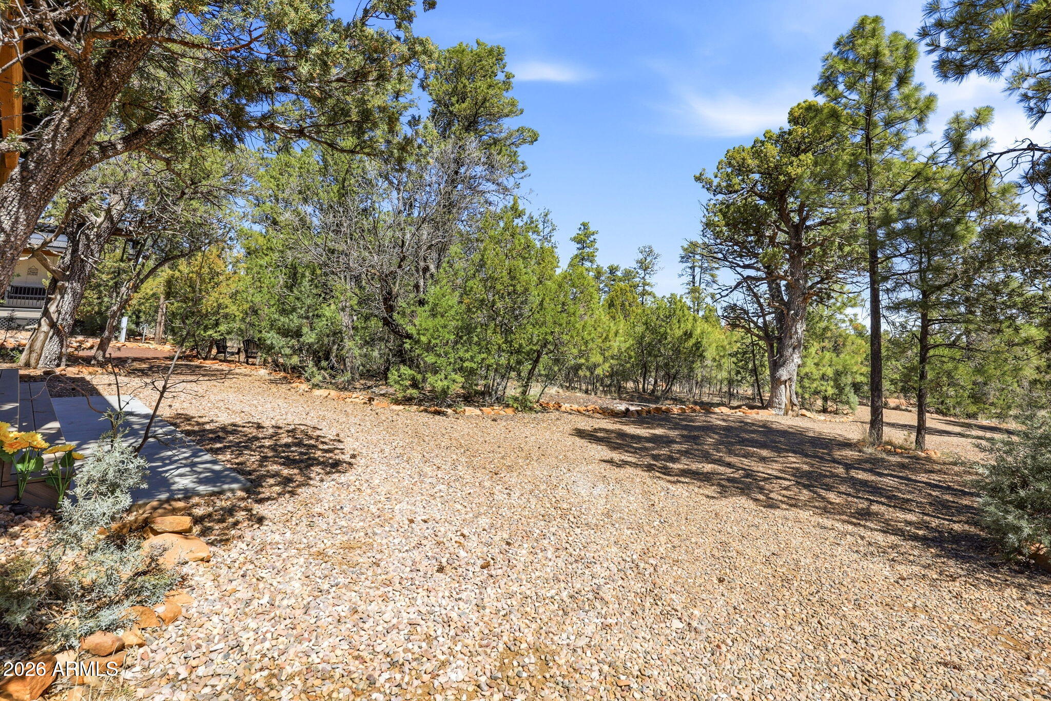 2787 Deer Hill Overgaard, AZ 85933 - Photo 32 of 44 a view of a yard with large trees