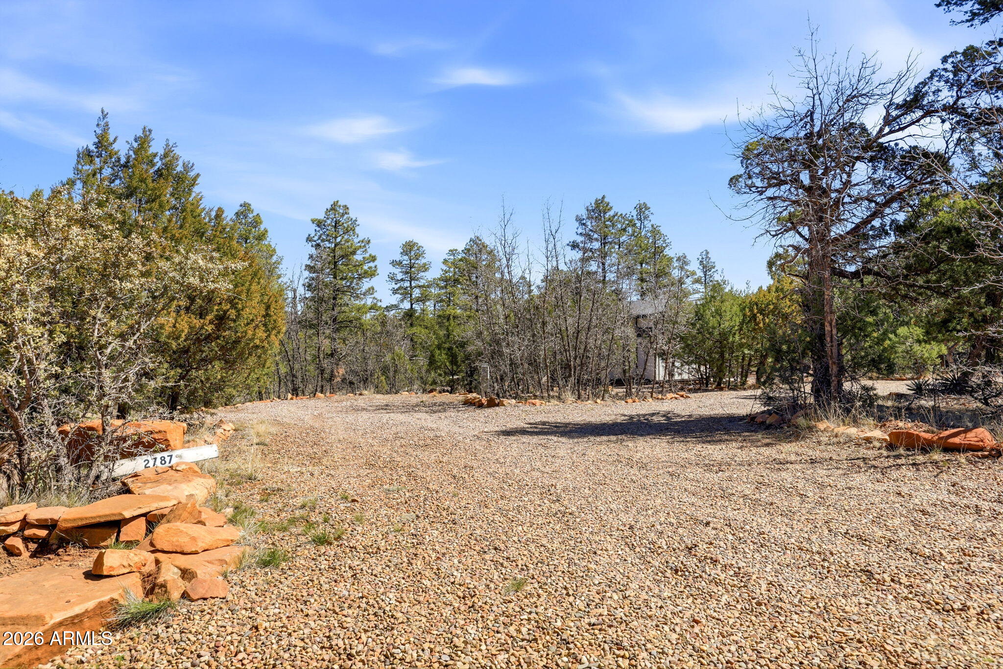 2787 Deer Hill Overgaard, AZ 85933 - Photo 34 of 44 a view of a yard with trees in the background