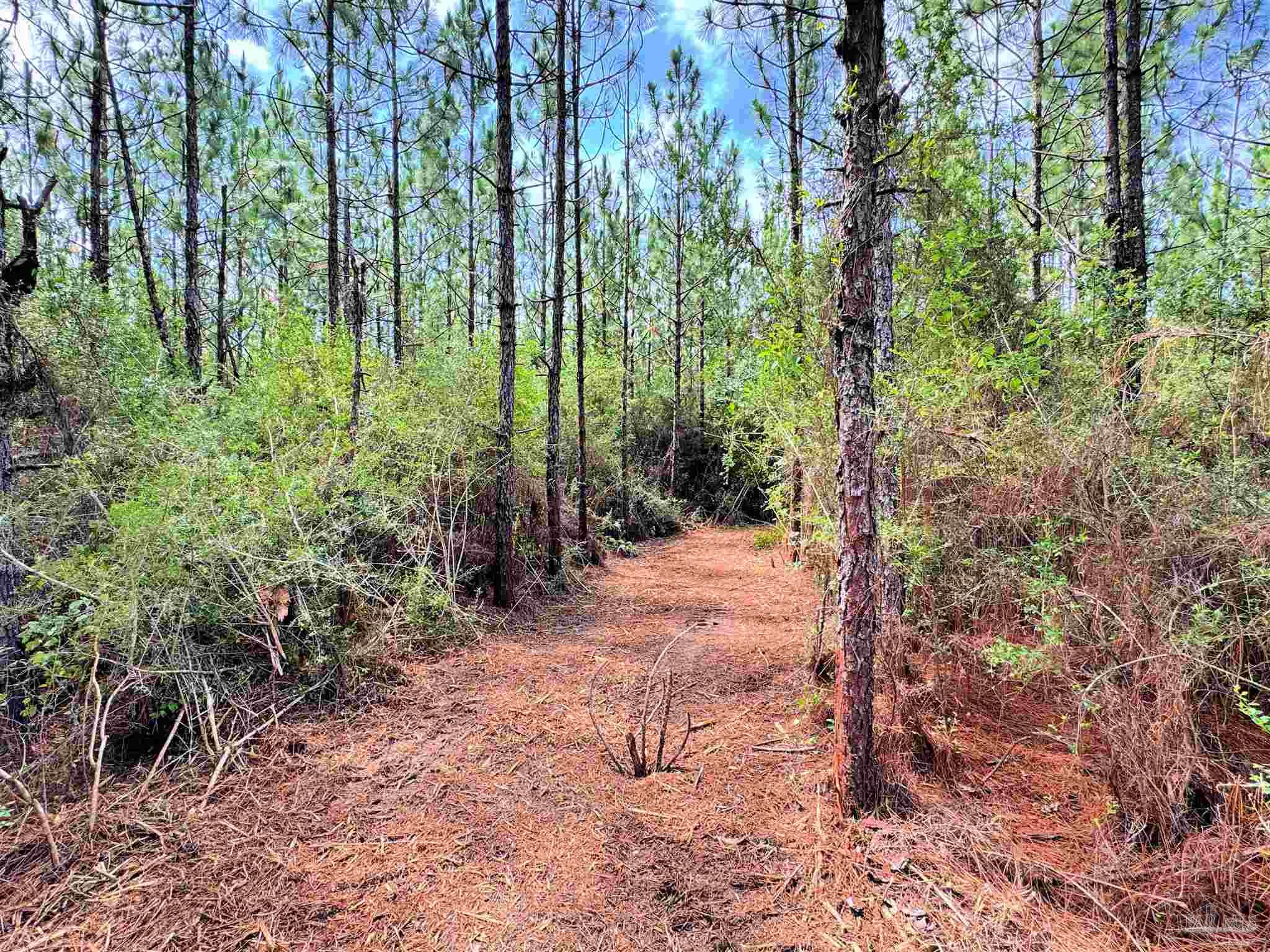 Parcel C Parcel C Killian Drive Jay, FL 32565 - Photo 12 of 21 a view of outdoor space and trees