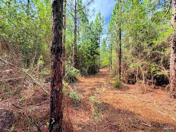 $162,000 | Parcel C Parcel C Killian Drive, Jay, FL 32565