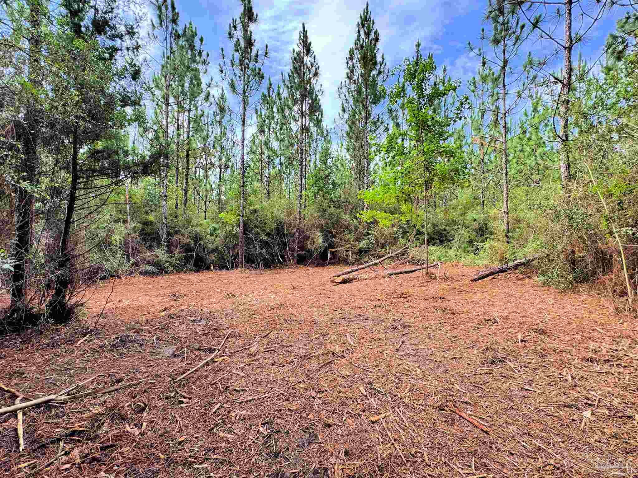 Parcel C Parcel C Killian Drive Jay, FL 32565 - Photo 15 of 21 a view of outdoor space and yard