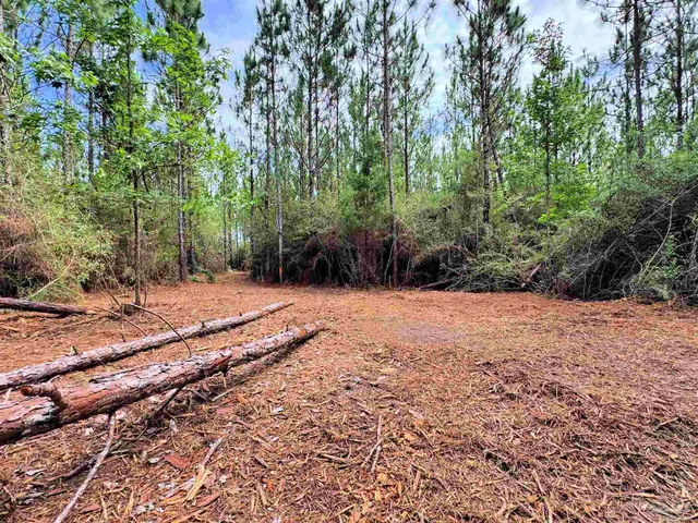 a view of backyard with green space