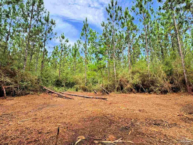 a view of outdoor space with trees