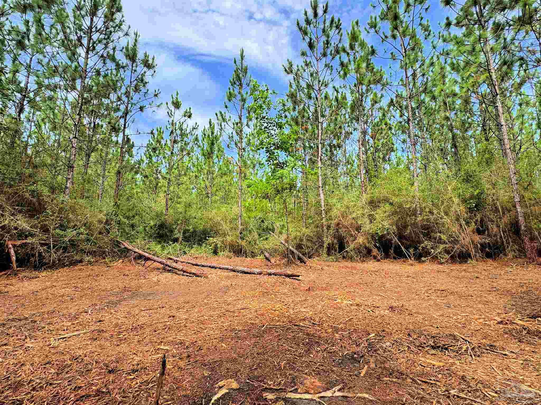 Parcel C Parcel C Killian Drive Jay, FL 32565 - Photo 17 of 21 a view of outdoor space with trees