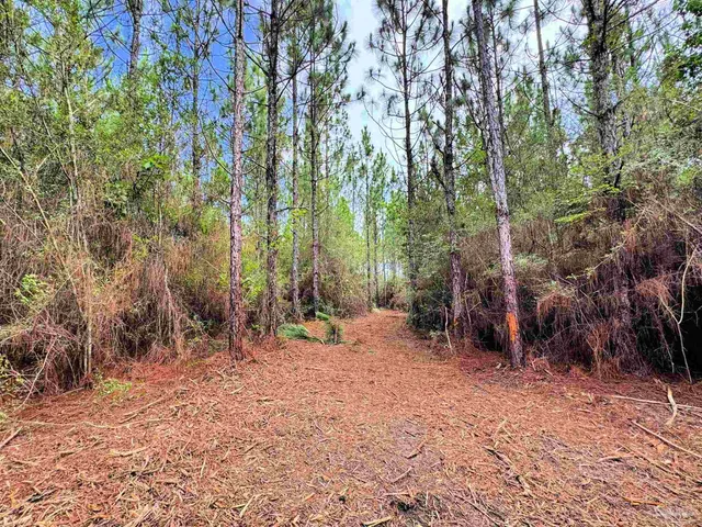 a backyard of a house with lots of green space and chair