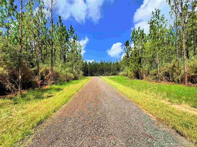 a view of swimming pool with a yard