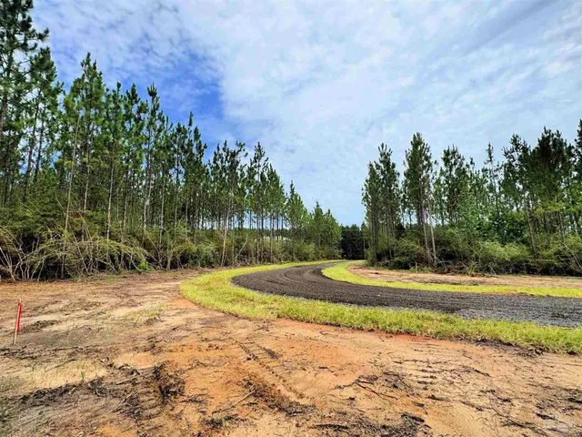 a view of a backyard of the house