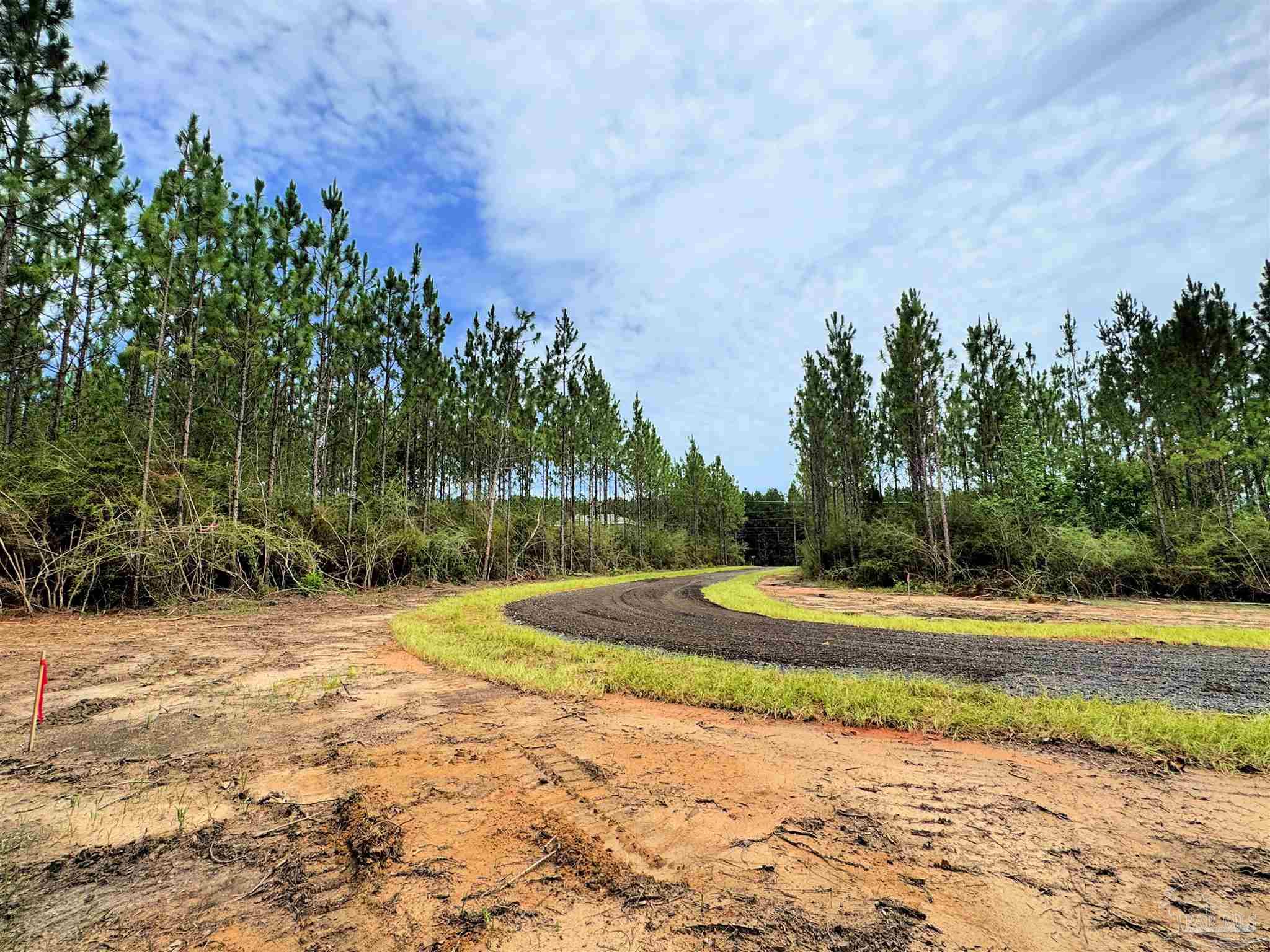 Parcel C Parcel C Killian Drive Jay, FL 32565 - Photo 9 of 21 a view of a backyard of the house
