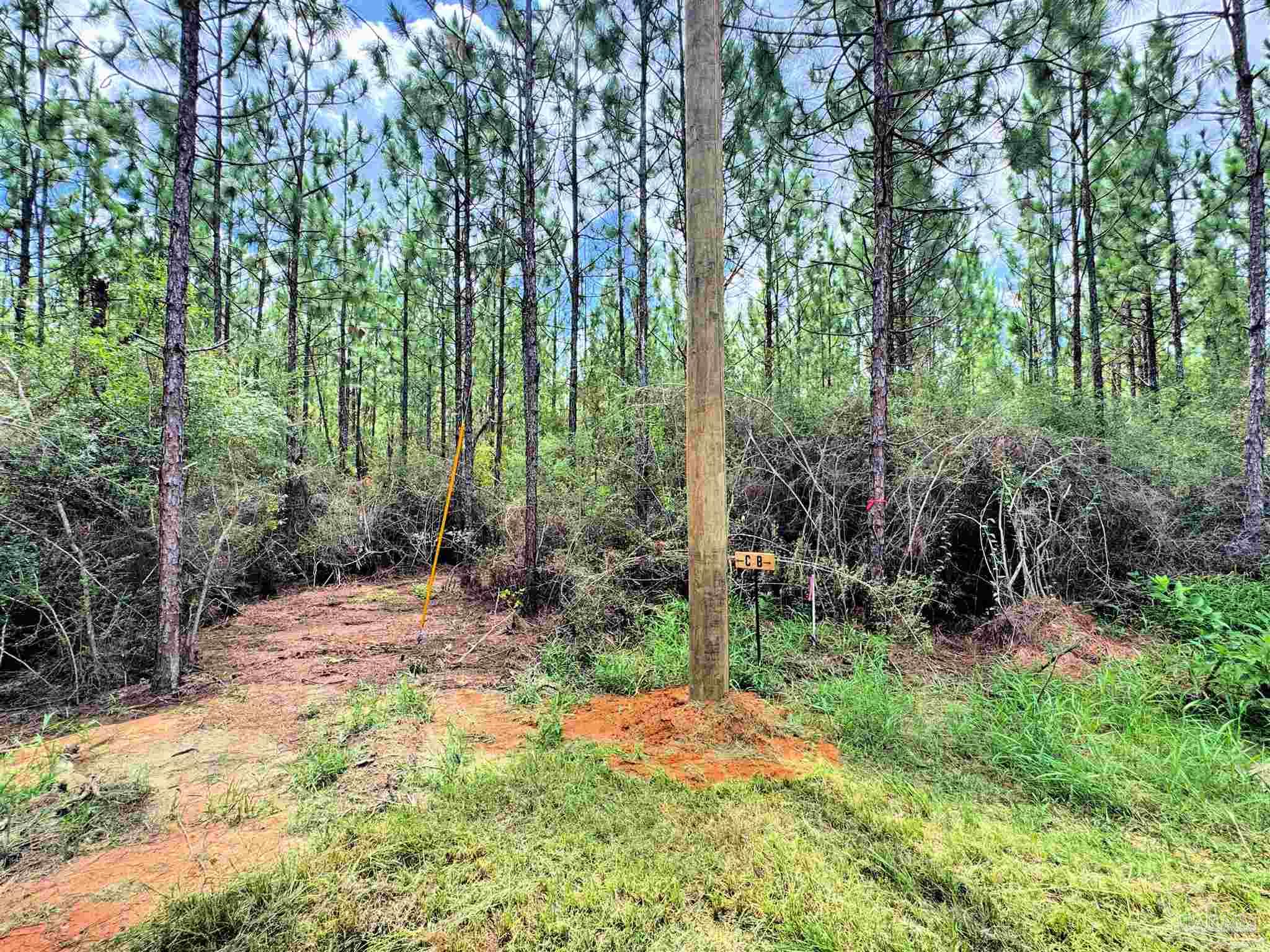 Parcel C Parcel C Killian Drive Jay, FL 32565 - Photo 10 of 21 a backyard of a house with lots of green space and chair