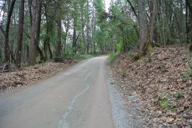 a view of a road with trees in the background