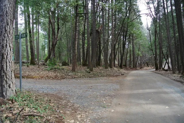a view of outdoor space with trees