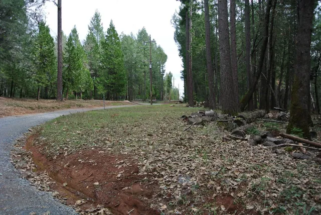 a big yard with lots of green space and trees