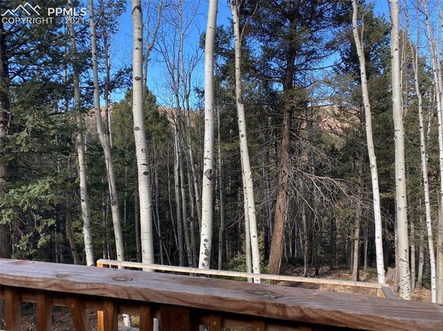 190 Princess Road Cripple Creek, CO 80813 - Photo 14 of 21 Gallery Image 14