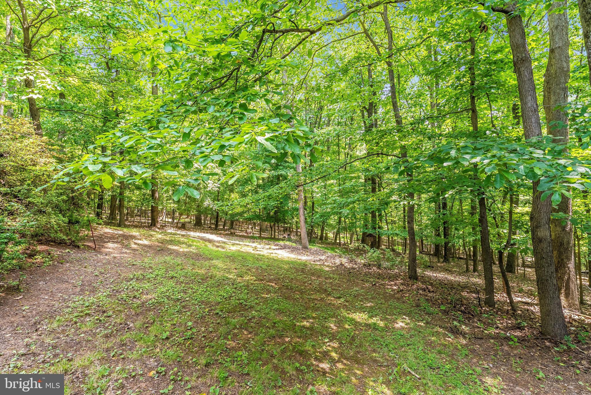 4273 Bill Moxley Road Mount Airy, MD 21771 - Photo 35 of 38 Backyard