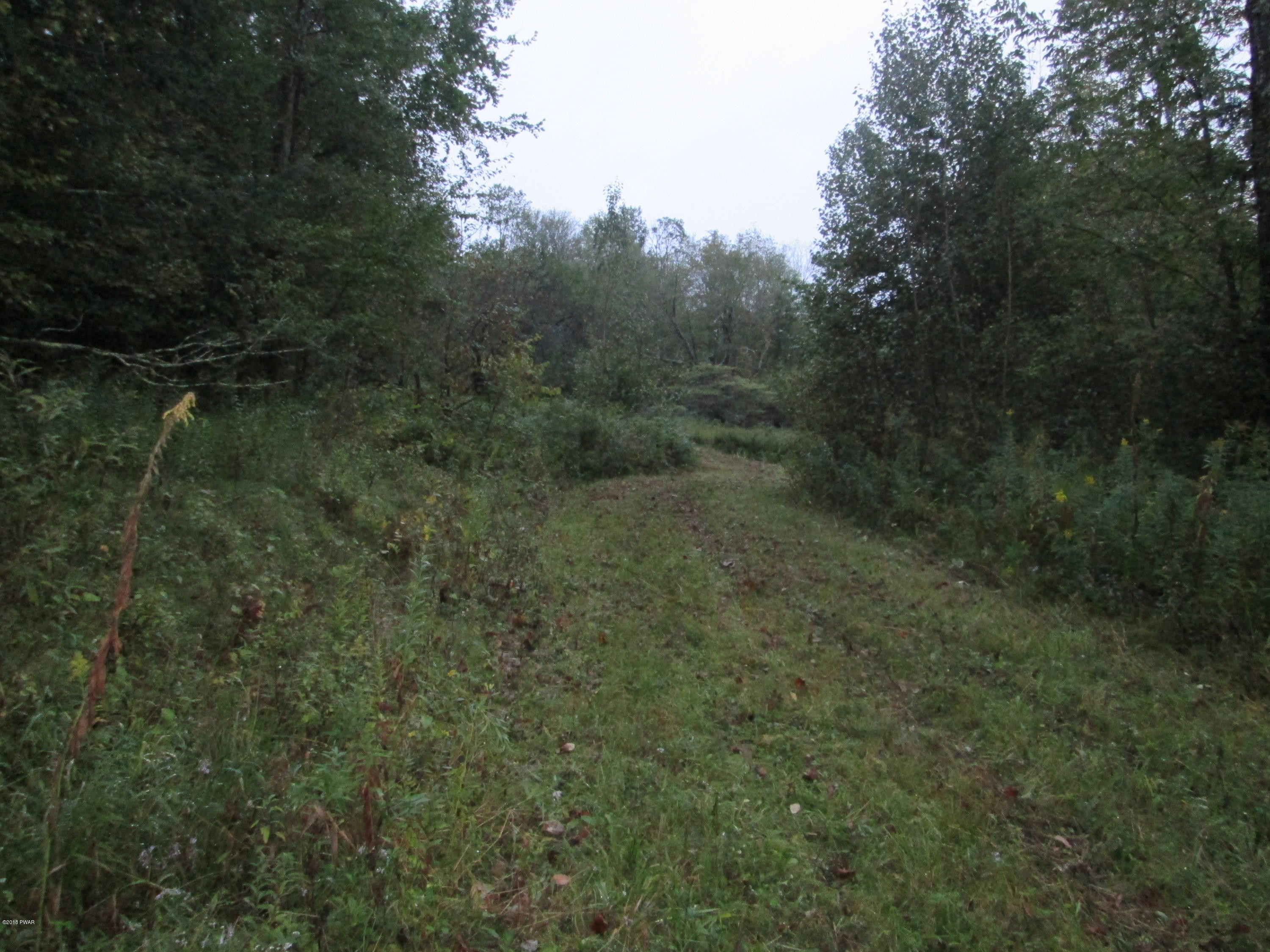 Starrucca Creek Road Susquehanna, PA 18847 - Photo 8 of 11