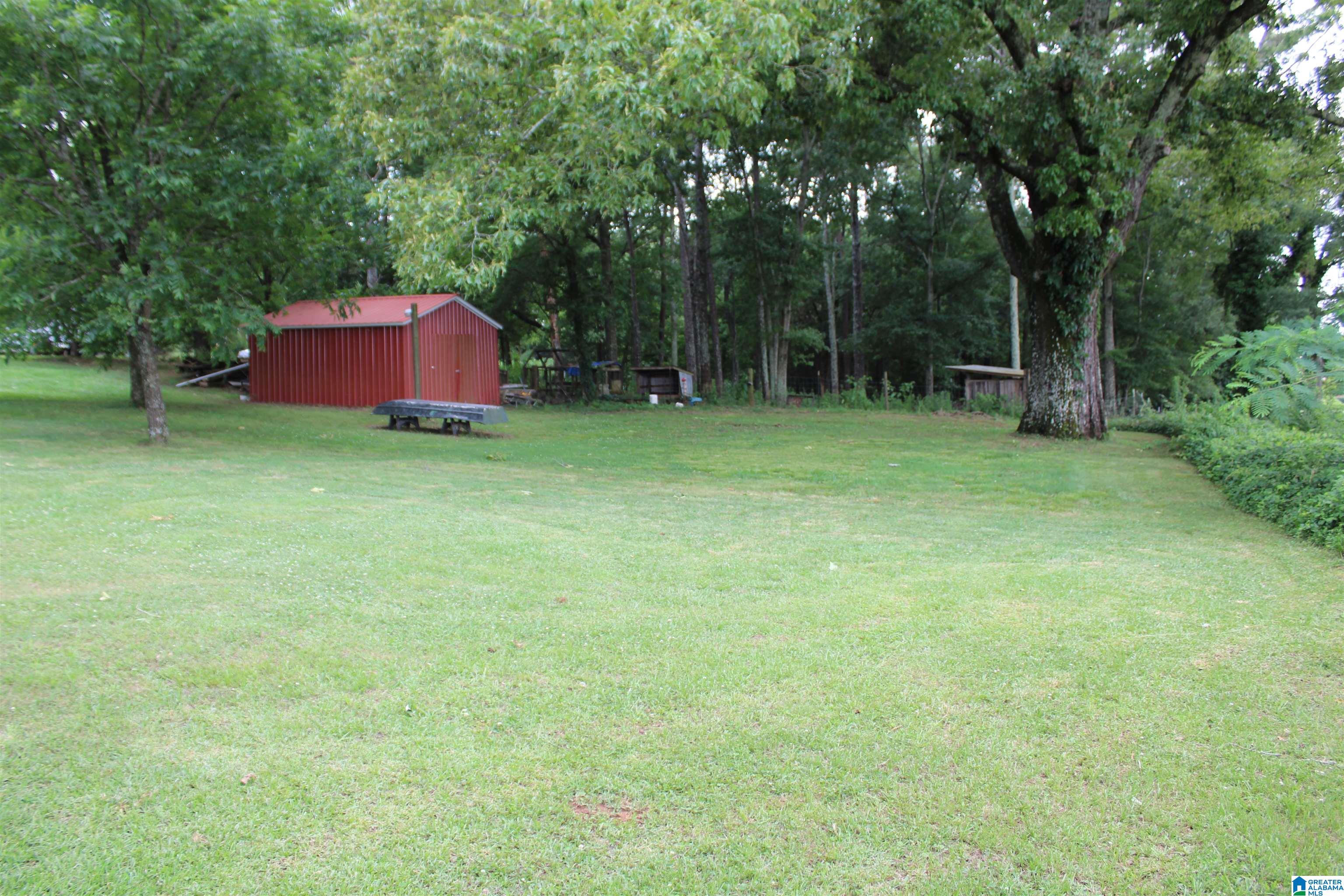 145 Rabbit Branch Road Cropwell, AL 35054 - Photo 9 of 43