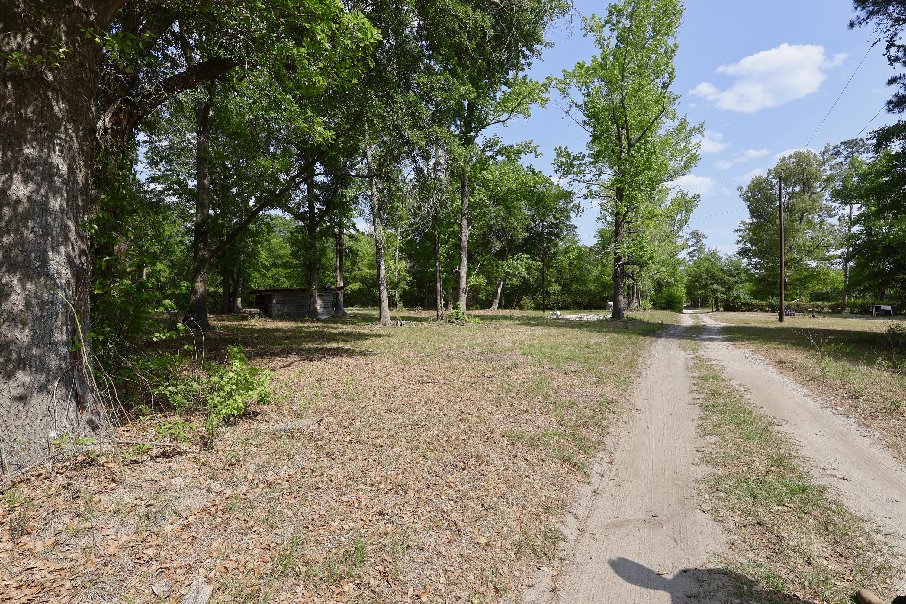 0 Mill Pond Road Dorchester, SC 29437 - Photo 7 of 12