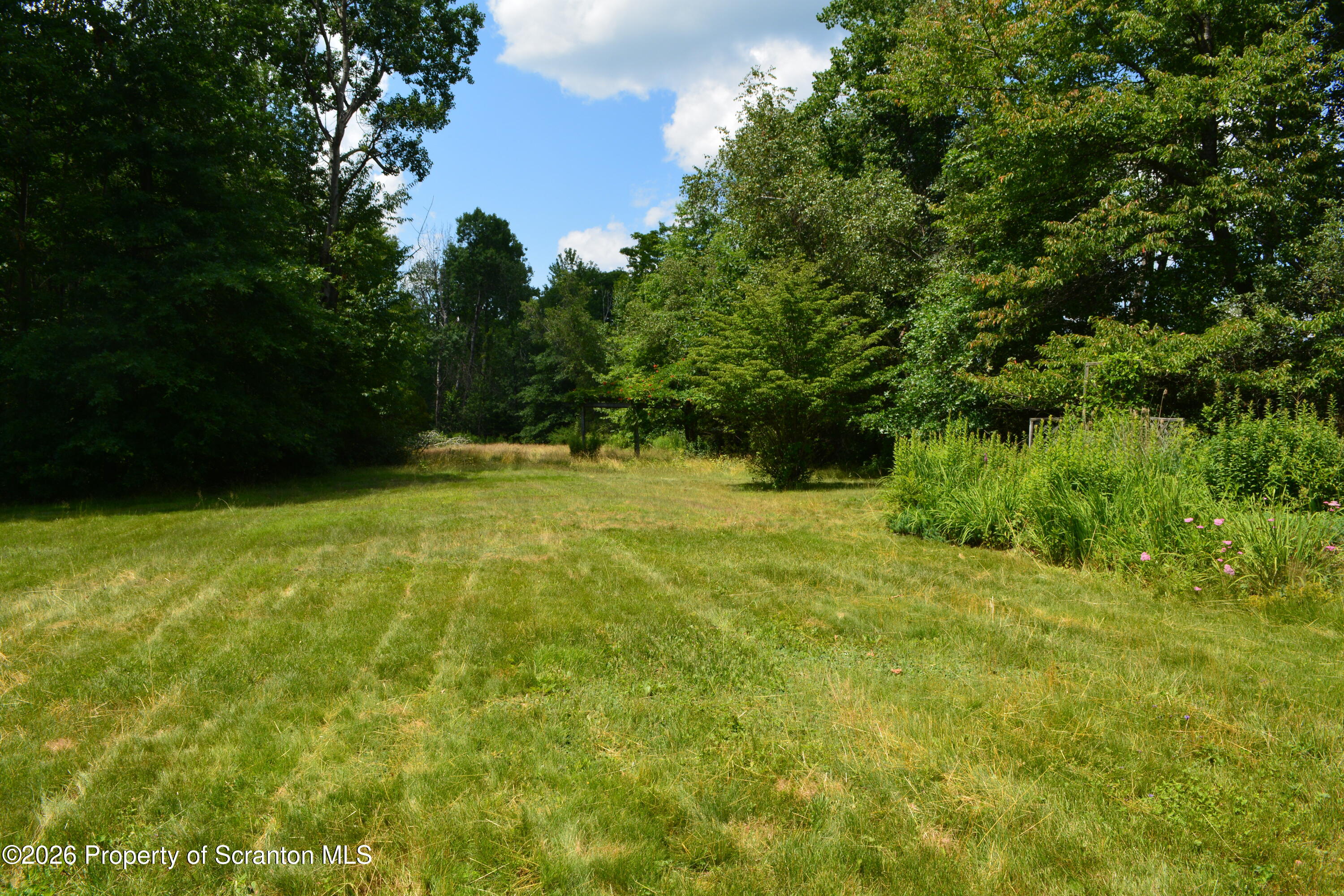 1205 Layton Road Clarks Summit, PA 18411 - Photo 28 of 30 Yard