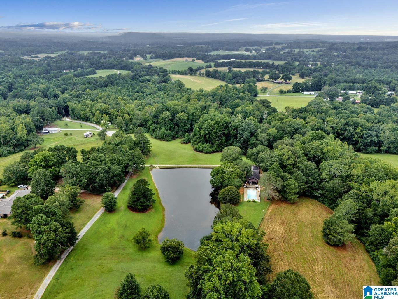 1695 Kent Road Oneonta, AL 35121 - Photo 21 of 70