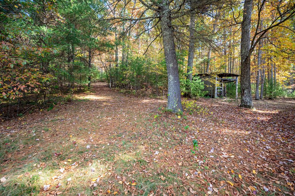 4149 Suiter Road Bastian, VA 24314 - Photo 87 of 98 Gallery Image 87