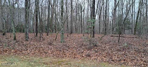 16 B Winner Cir Lane Carthage, NC 28327 - Photo 3 of 7 Lot view 140' on street