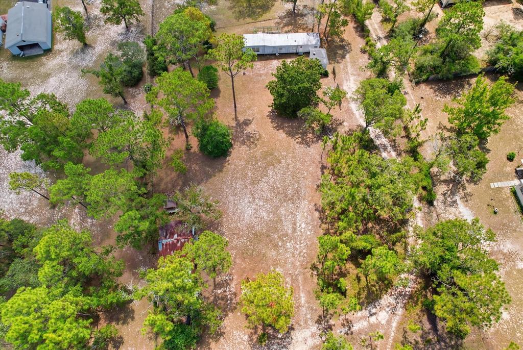 4675 Roses Court Homosassa, FL 34446 - Photo 15 of 22