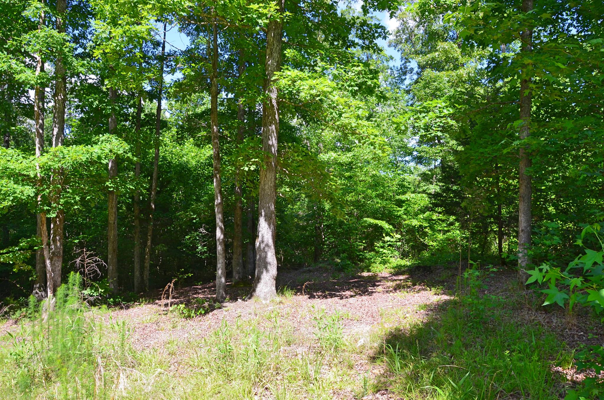 0 Swan Johnson Road Darden, TN 38328 - Photo 17 of 27 Gallery Image 17
