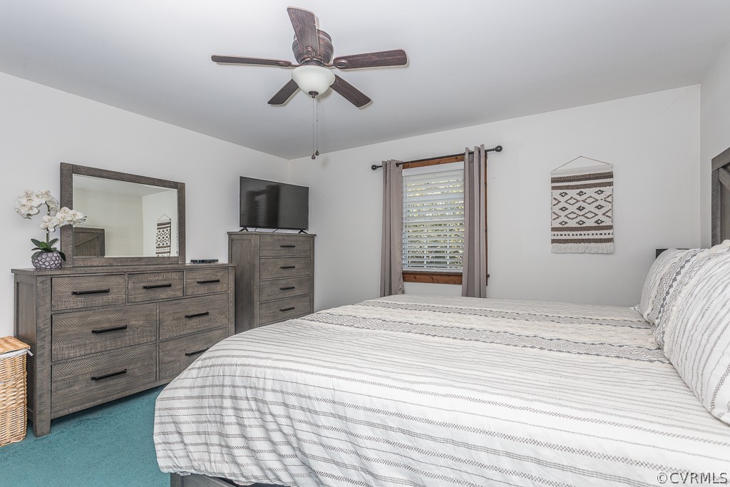 10897 Hitchcock Road Disputanta, VA 23842 - Photo 34 of 44 Gallery Image 34